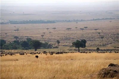 Havfragt fra Kina til Somalia